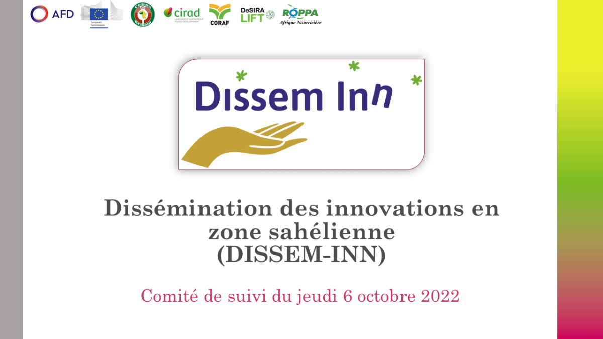 Comité de suivi DISSEM-INN © CL-Cirad